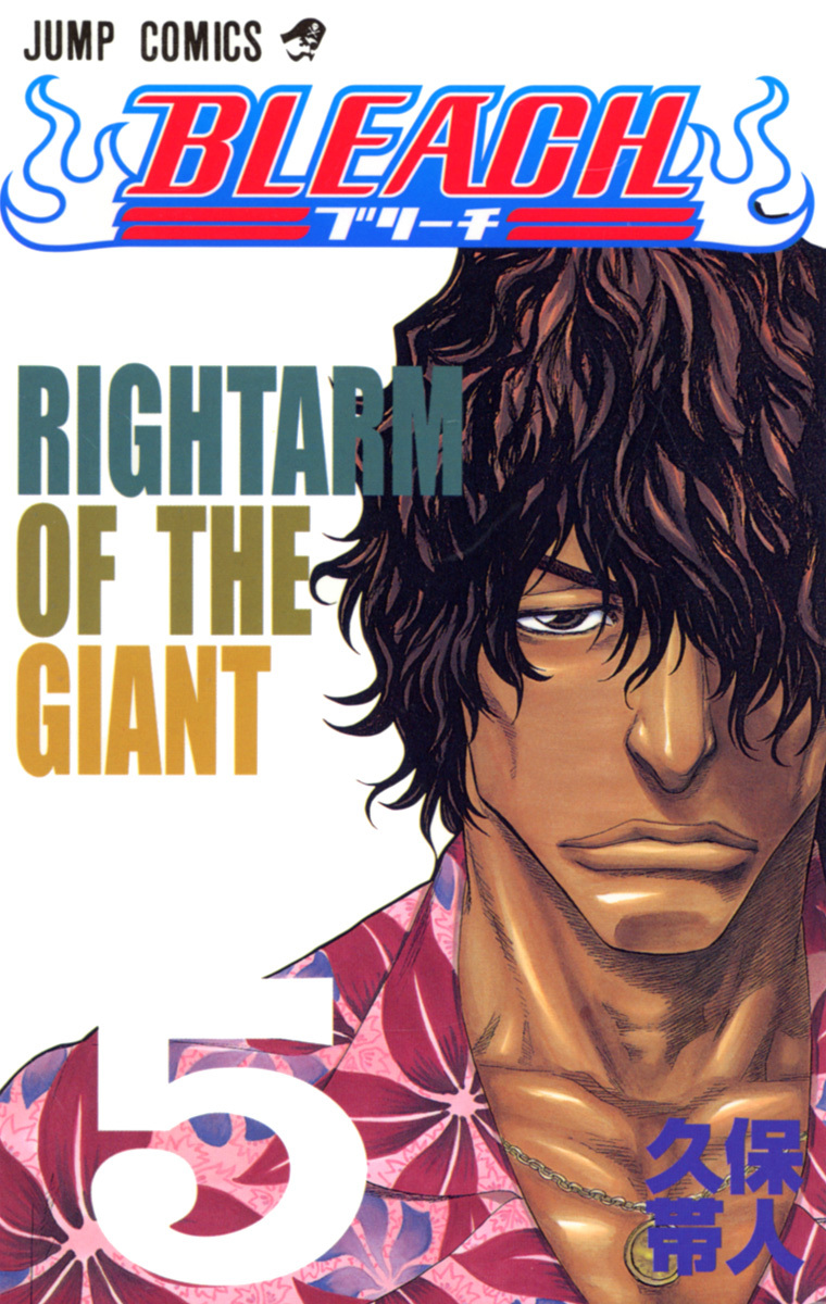 Bleach Tome 5