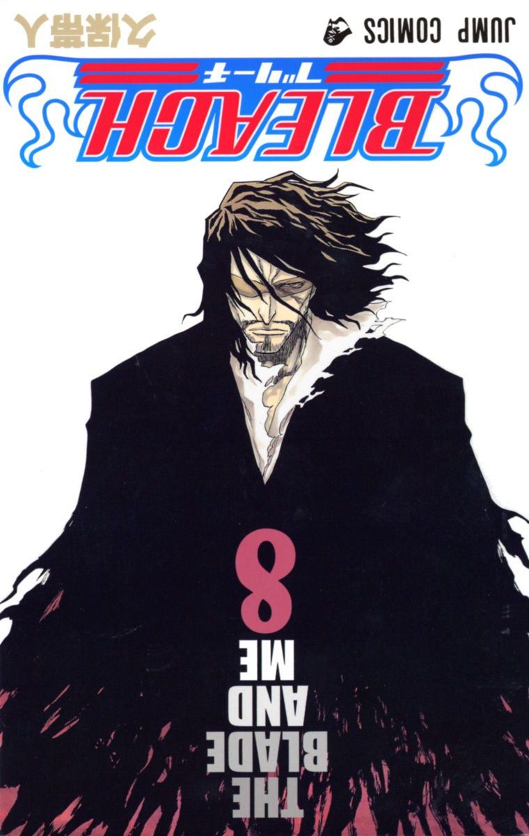 Bleach Tome 8