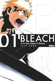 Bleach : une critique du tome 1 du manga publiée sur Manga Sanctuary par juju